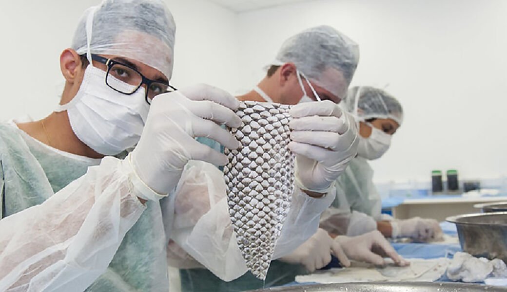 pele de tilápia UFC