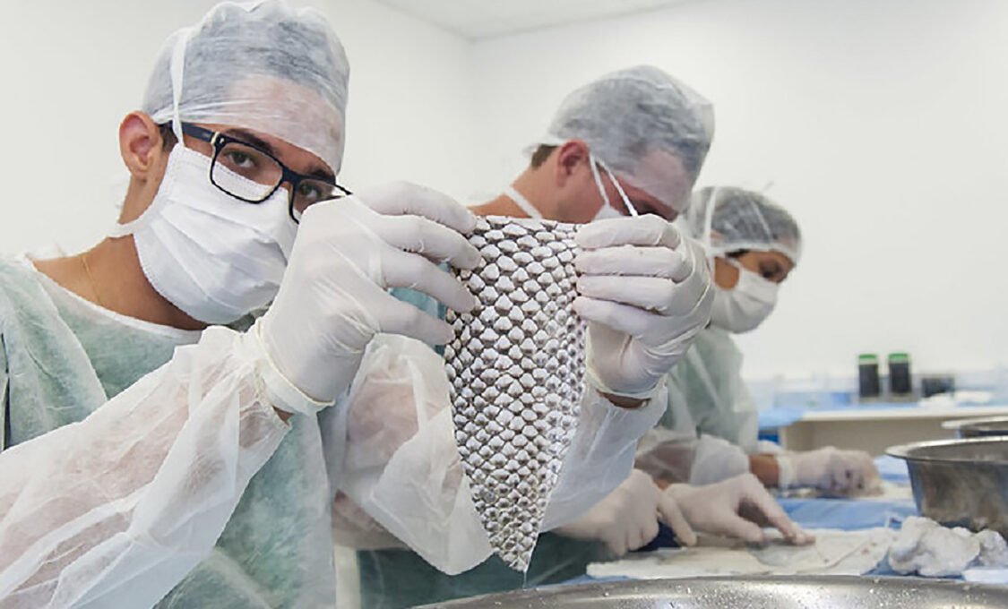 pele de tilápia UFC