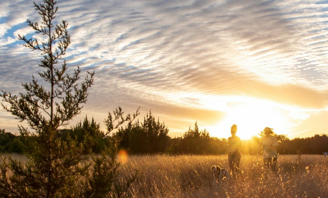 novo nordisk - sunset - trac vu - unsplash